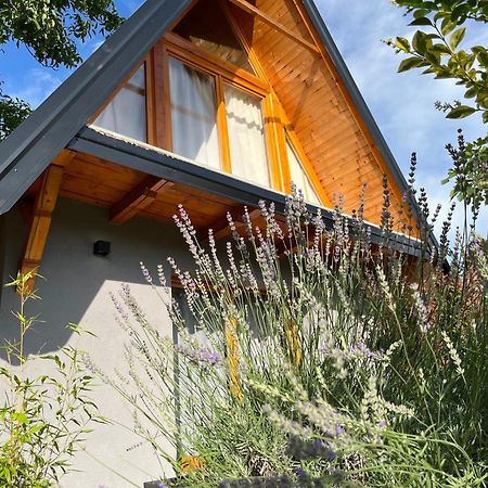 Petrovaradin Chalet Novi Sad Extérieur photo