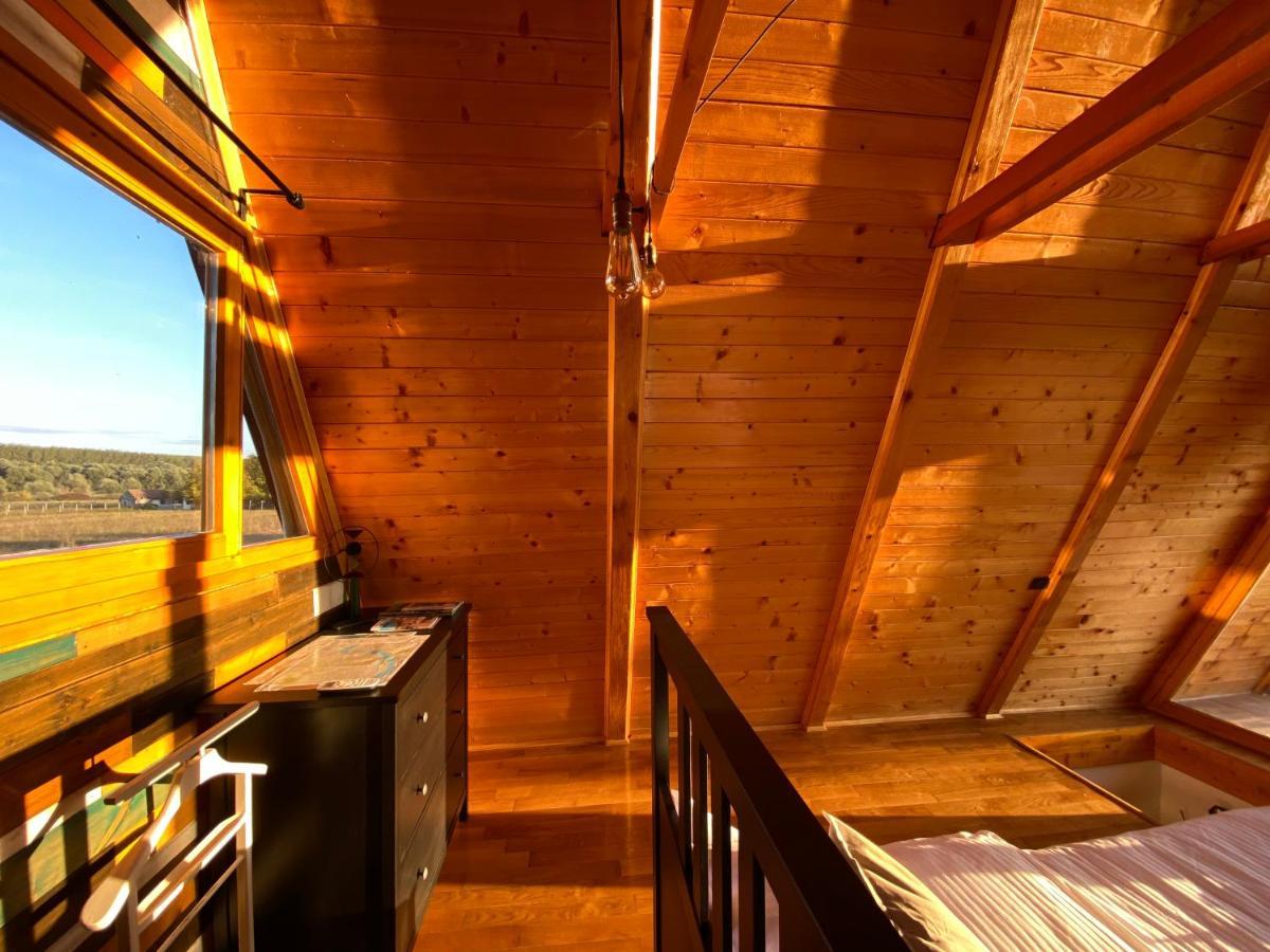 Petrovaradin Chalet Novi Sad Extérieur photo