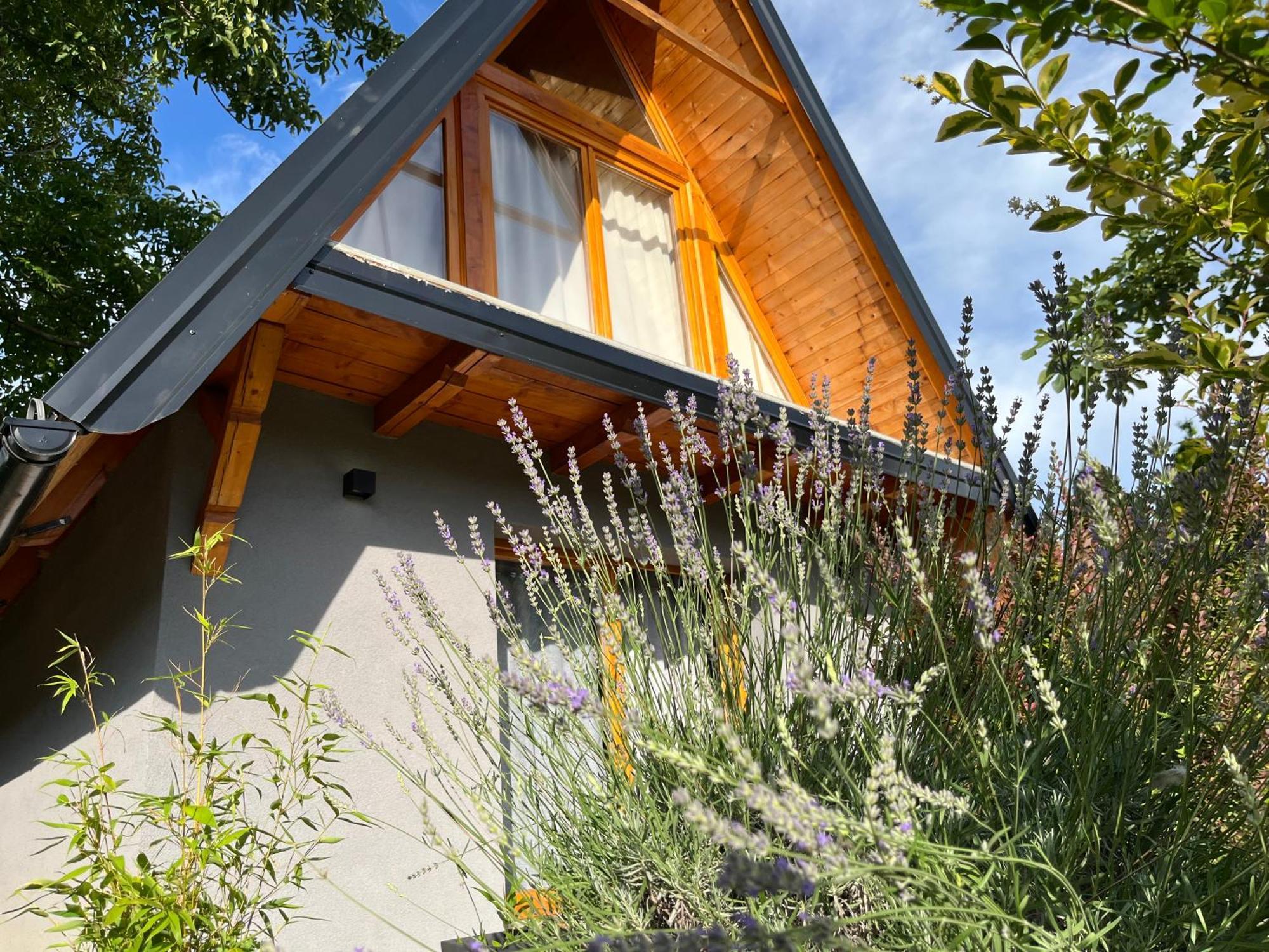 Petrovaradin Chalet Novi Sad Extérieur photo